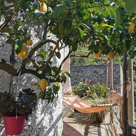 Hébergement de vacances 